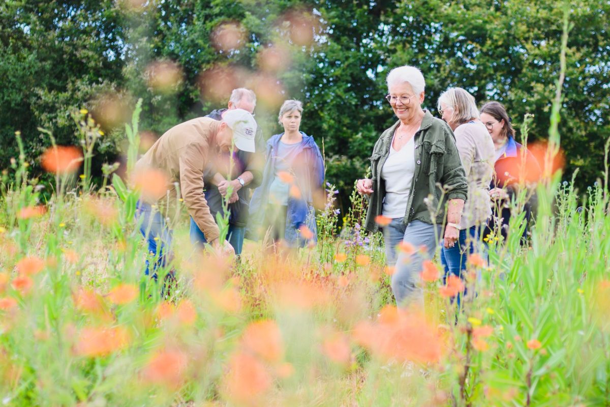 Ferme florale les Singulières