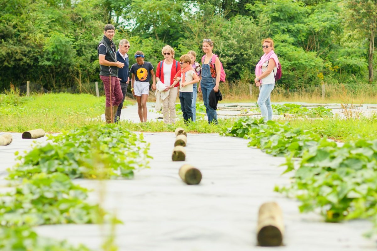 Visite à la ferme maraichage Alexandre Traineau