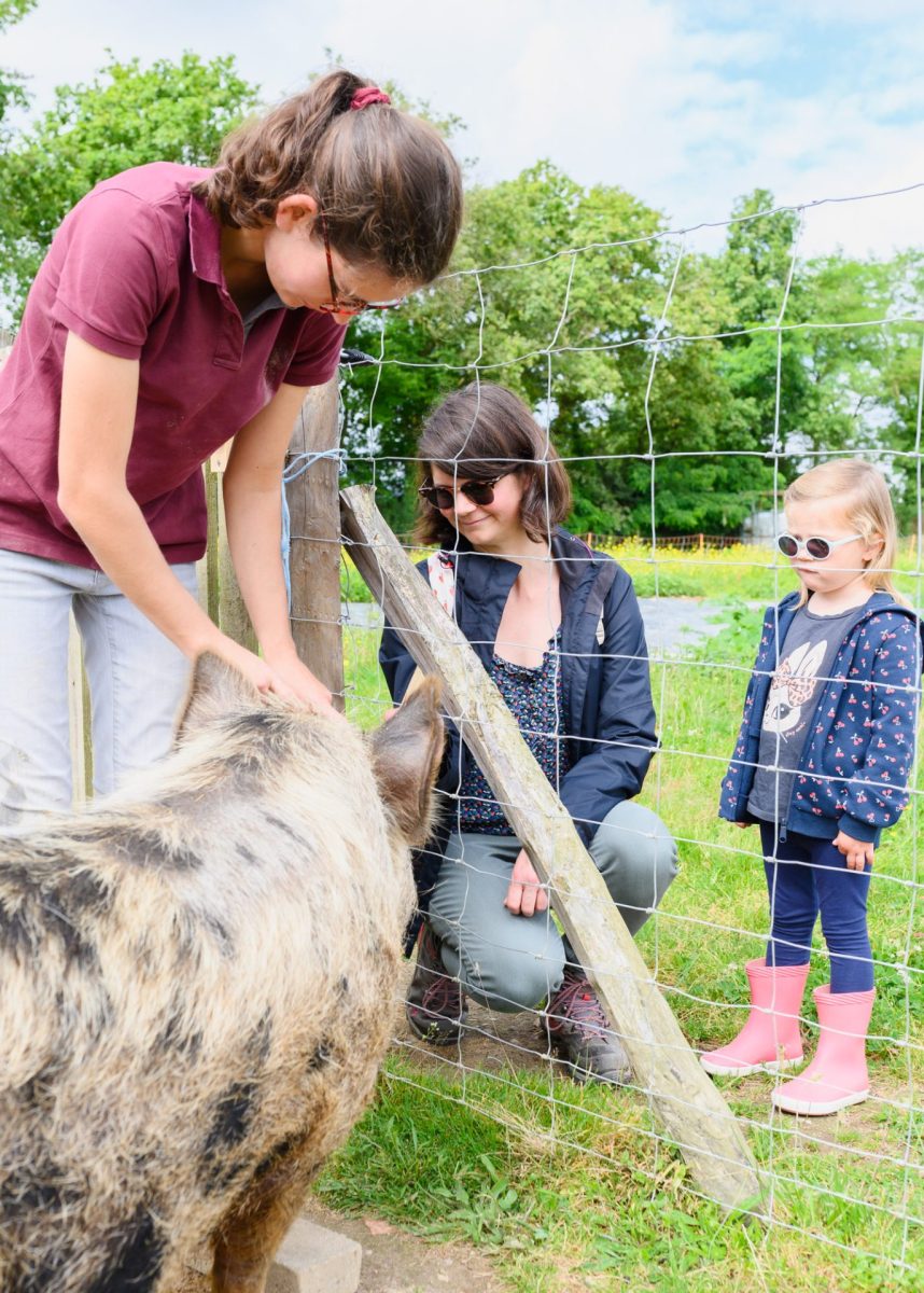 Visite à la ferme Pauline avec le cochon du Potager des Z'Animaux