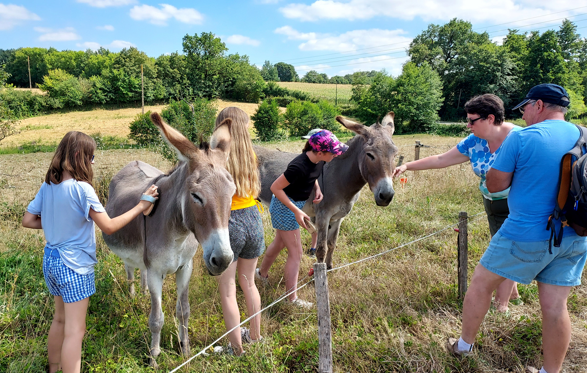 Visite ferme des caliméros brossage des ânes