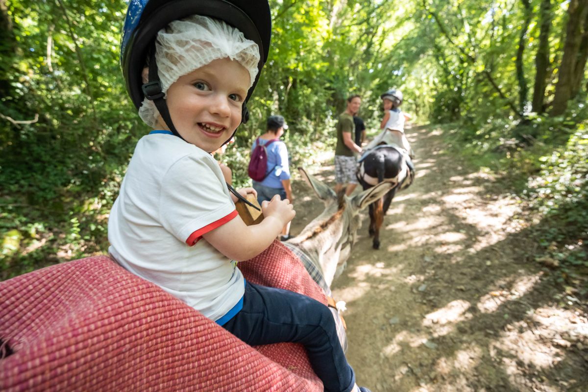 top 7 bêtises famille Au Tour des ânes