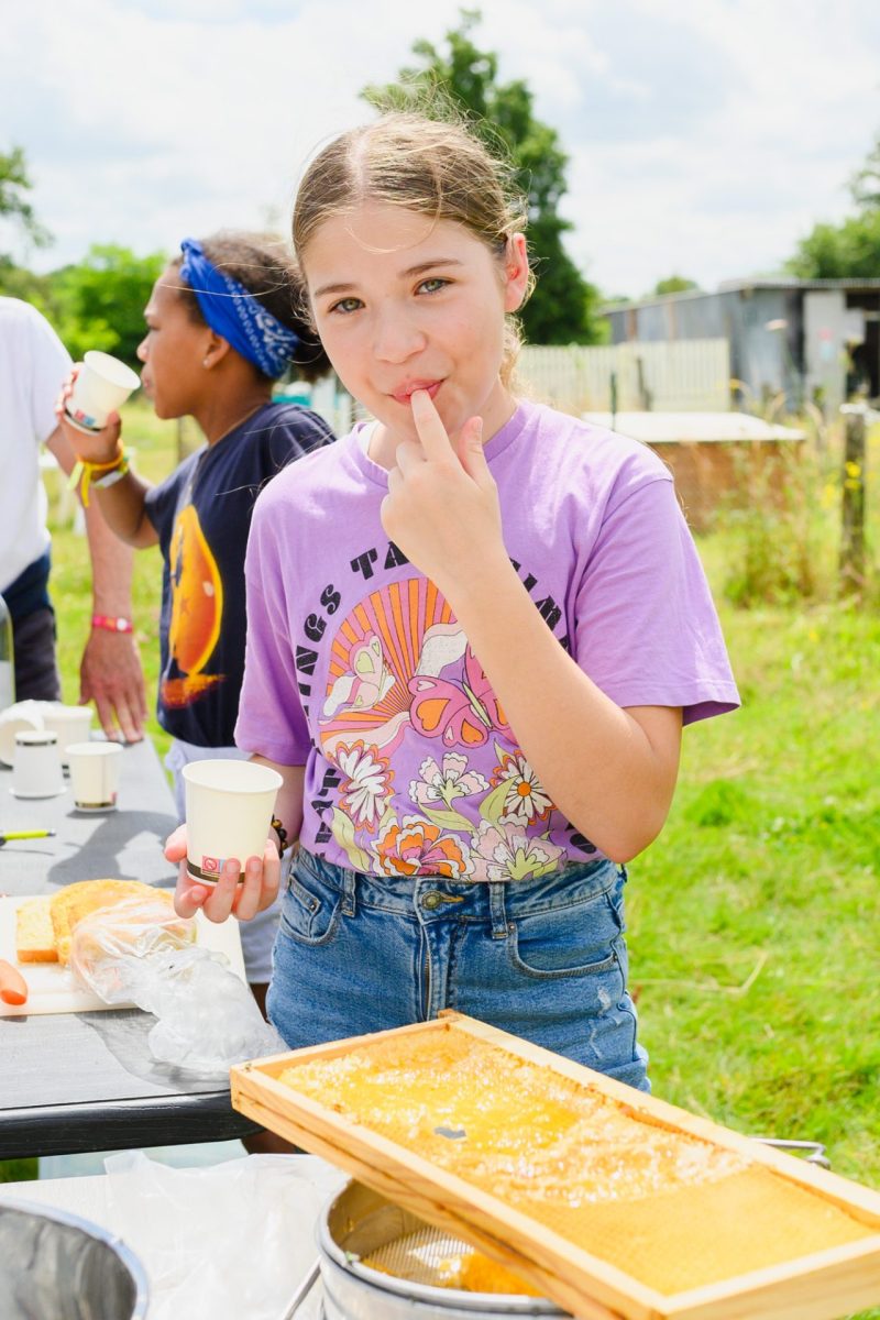 Se lécher les babines de miel visites producteurs