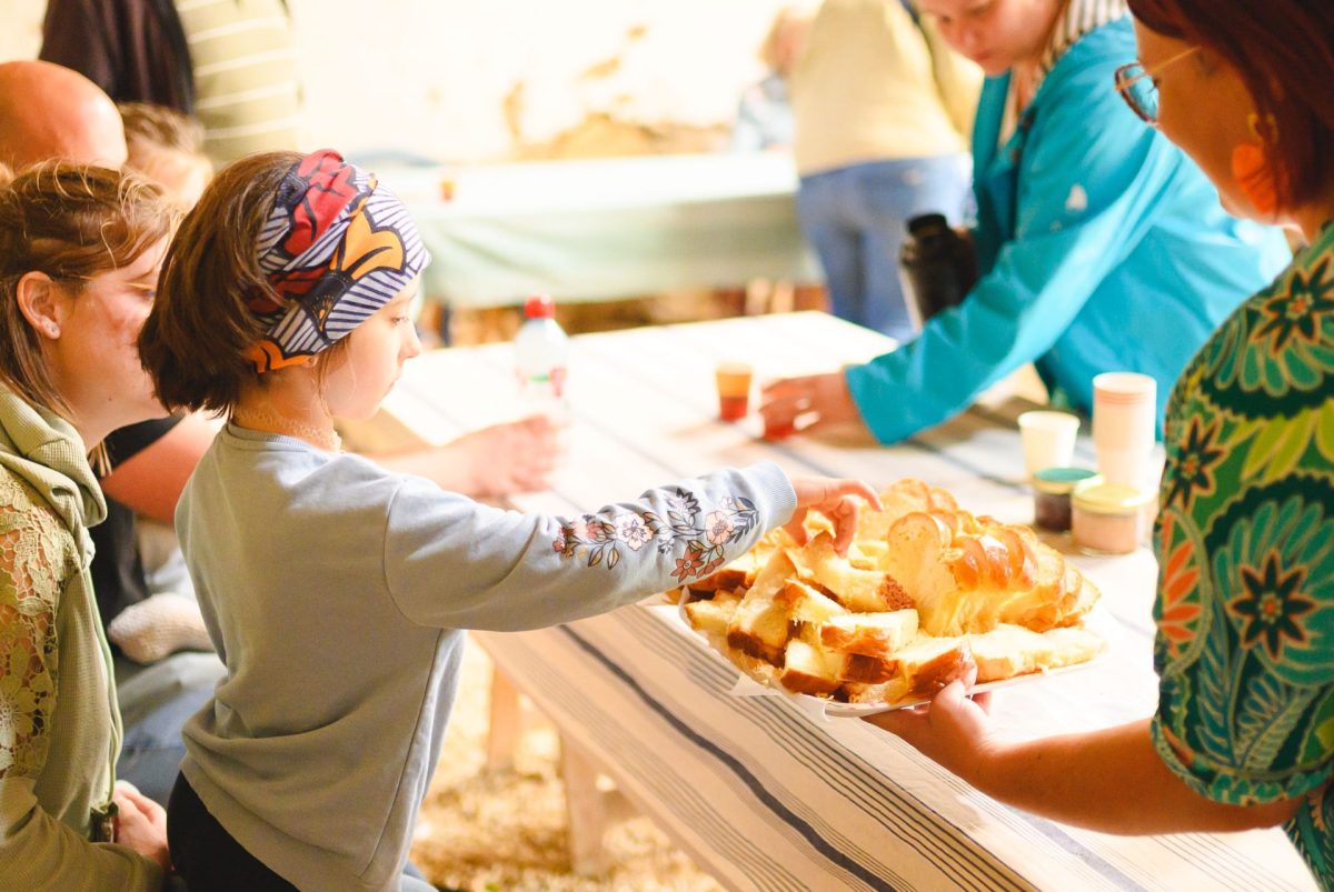 Goûter à la ferme de Mohair des Quatre Saisons à St Julien des Landes