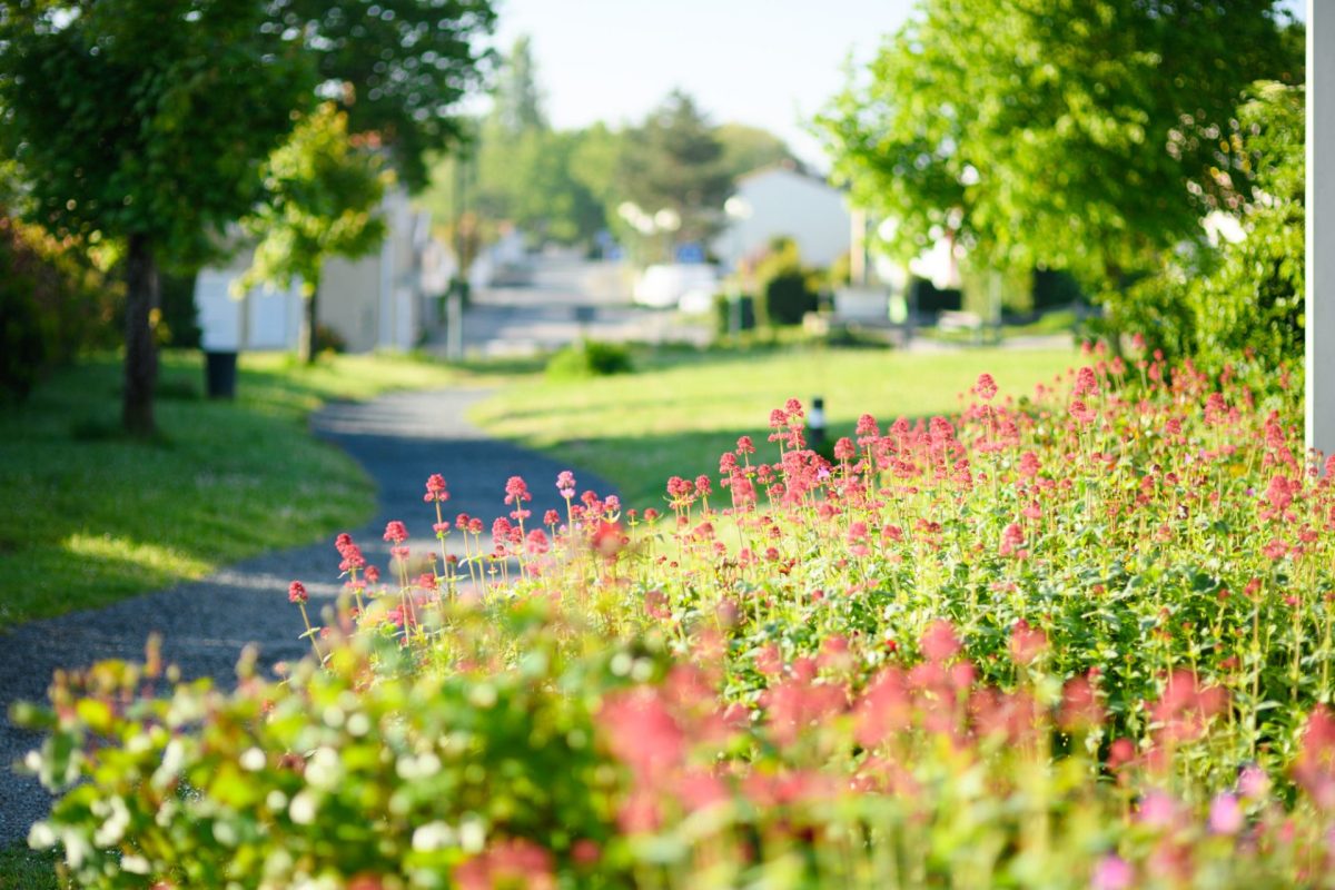 Chemin Villes et Villages fleuris St Julien des Landes
