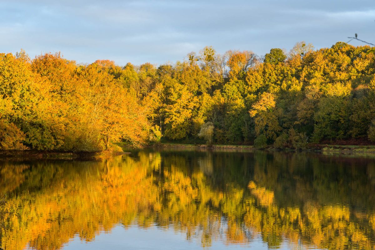 Le Lac du Jaunay au Pays des Achards aux couleurs d’automne 
