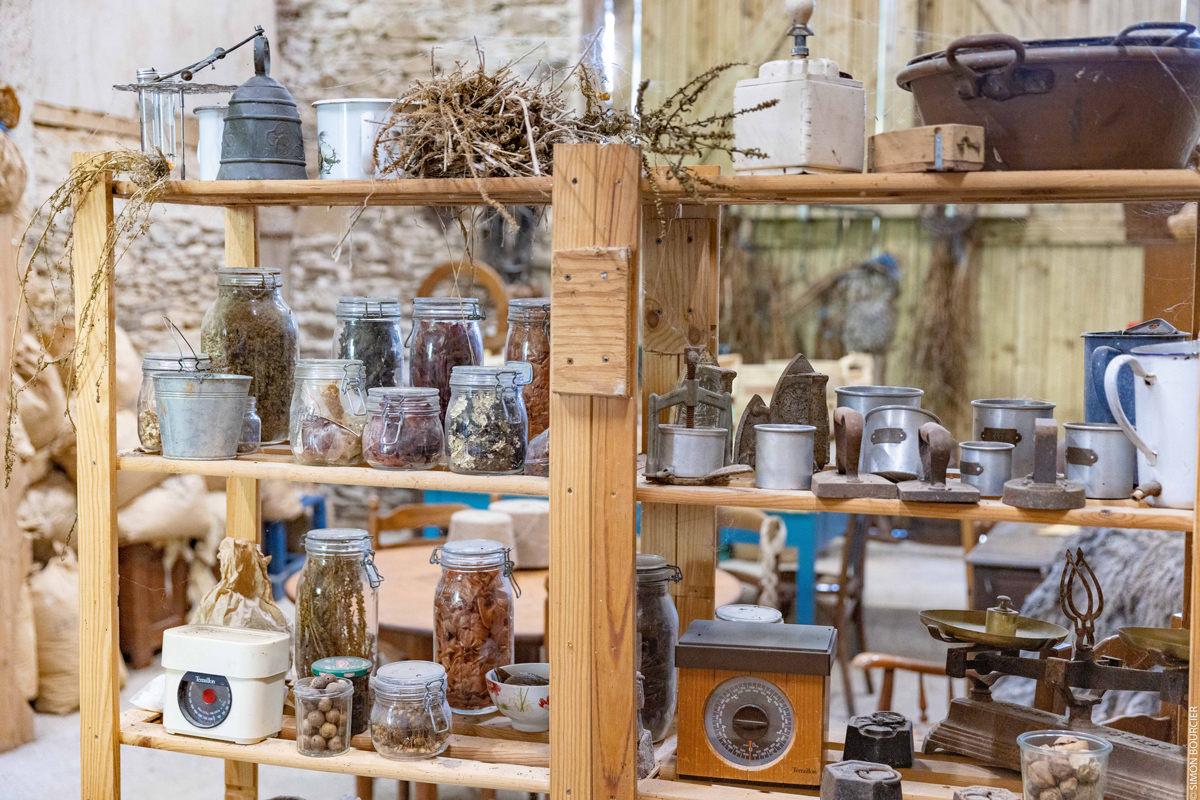 Teinture végétale chez Myriam Noirot