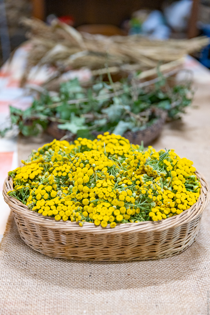 Teinture végétale laine Myriam Noirot