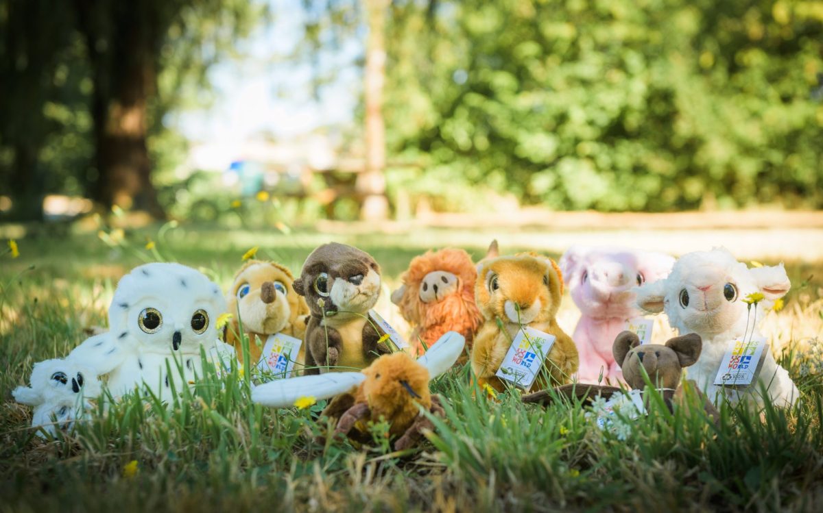 Boutique Office de Tourisme Pays des Achards gamme peluches