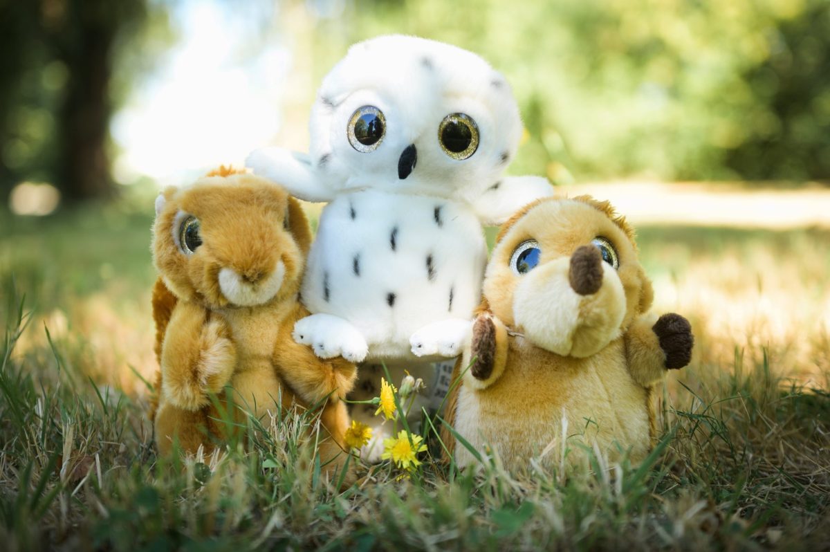 Boutique Office de Tourisme Pays des Achards gamme peluches animaux bois et forêts