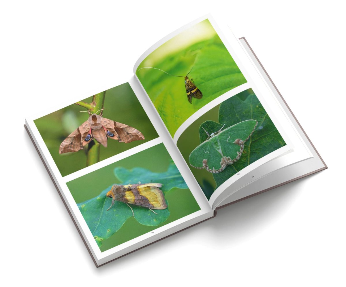 Intérieur photos Livre vieilles branches avec Patrick Trecul