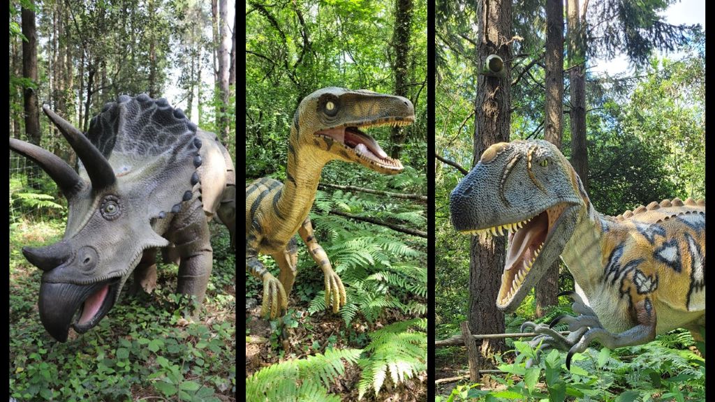 Piste des dinos au Château des Aventuriers