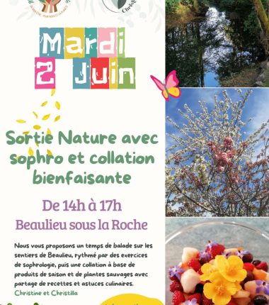 Sortie nature avec Sophro balade et collation bienfaisante