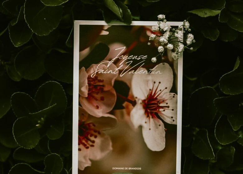 La Saint Valentin au Domaine de Brandois