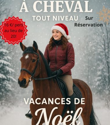 Vacances de Noël au Domaine de la Thibaudière