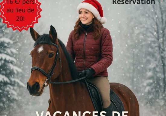 Vacances de Noël au Domaine de la Thibaudière