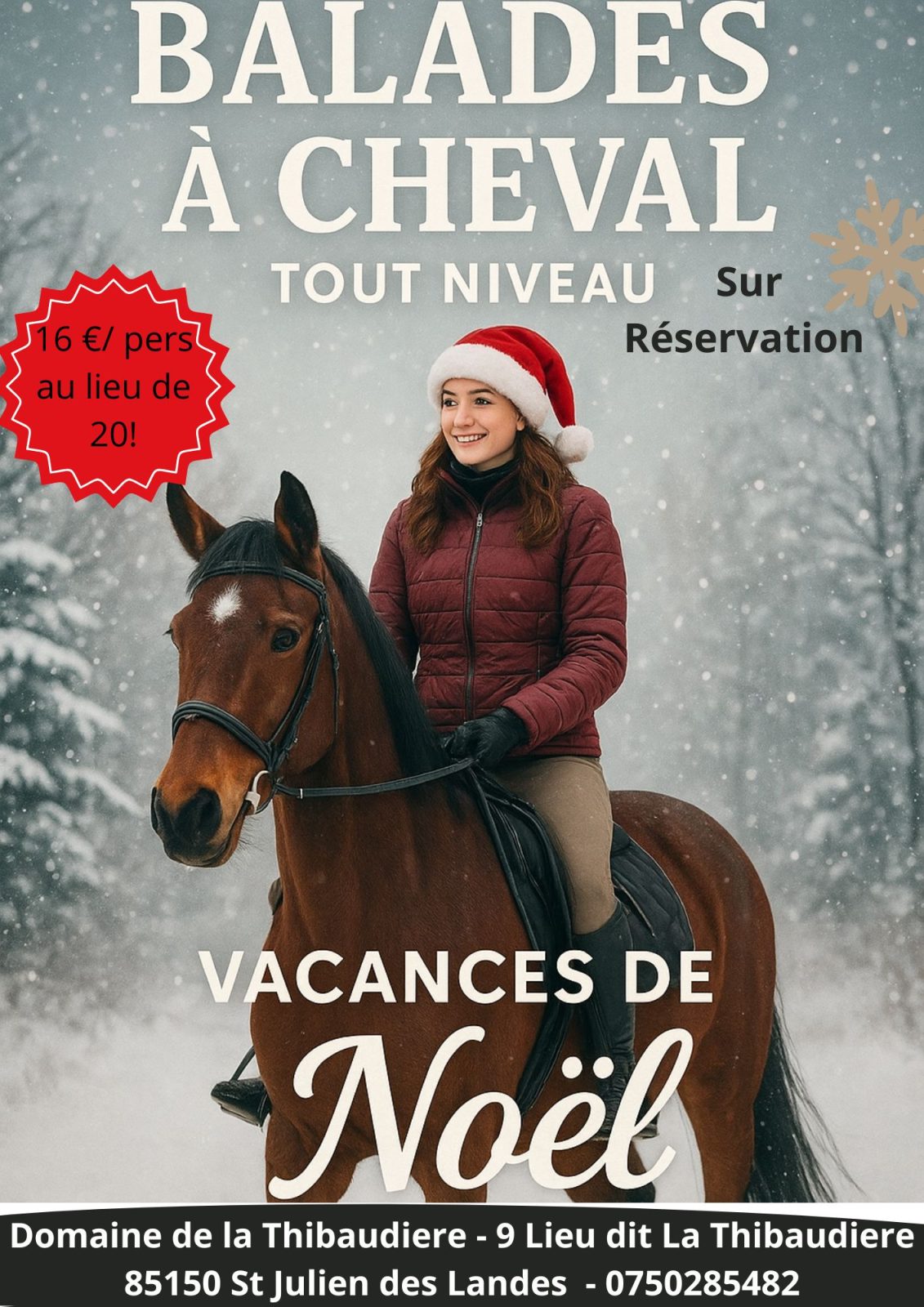 Vacances de Noël au Domaine de la Thibaudière