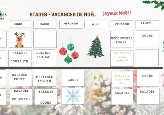 Vacances de Noël au Domaine de la Thibaudière