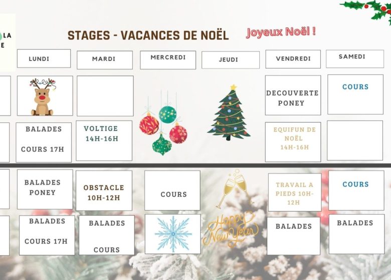 Vacances de Noël au Domaine de la Thibaudière