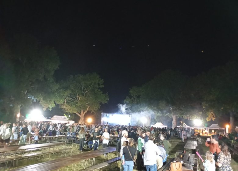 Feu d&rsquo;artifice – Fête communale