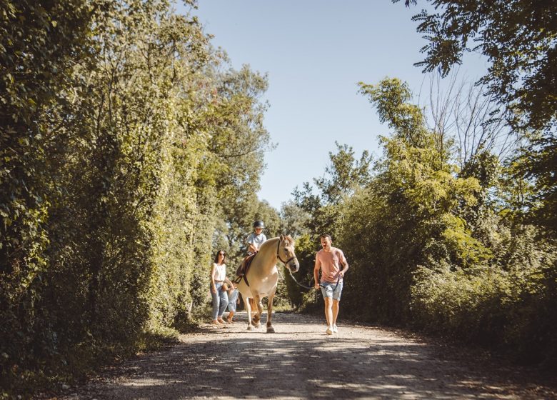 CAMPINGSDORP LA GUYONNIERE