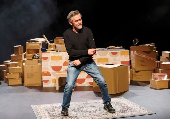 Les Hivernales – Théâtre : Toutes les choses géniales