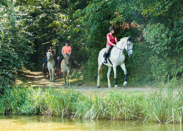 LA GARANGEOIRE EQUESTRIAN CENTER