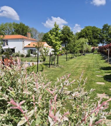 Gîte du Haut des Vignes ***