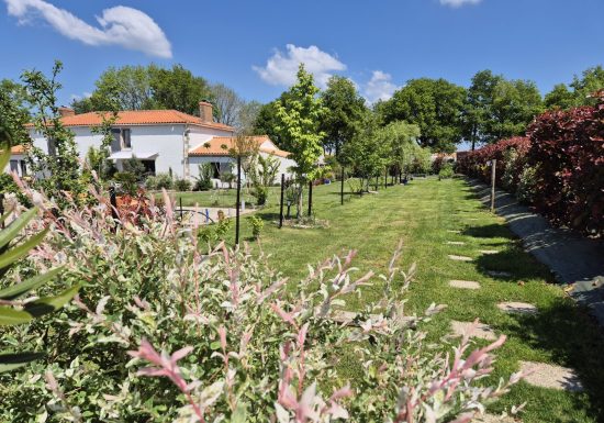 Gîte du Haut des Vignes ***