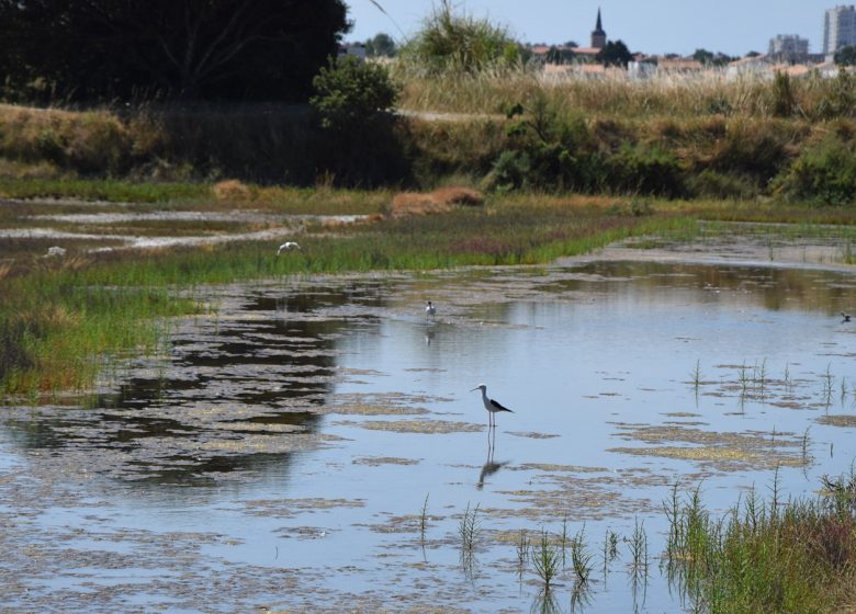 Les Salines – Parc d’aventure du sel