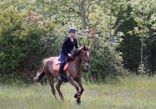 Domaine de La Thibaudière