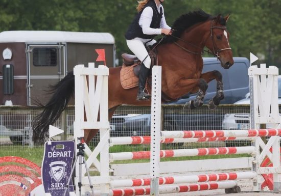 Domaine de La Thibaudière