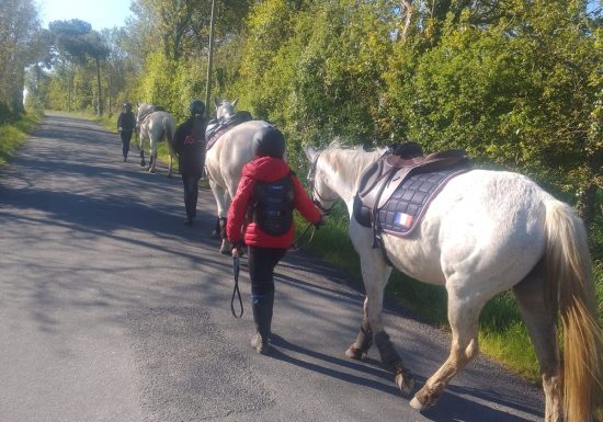 Domaine de La Thibaudière