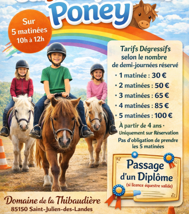 Stage d&rsquo;équitation