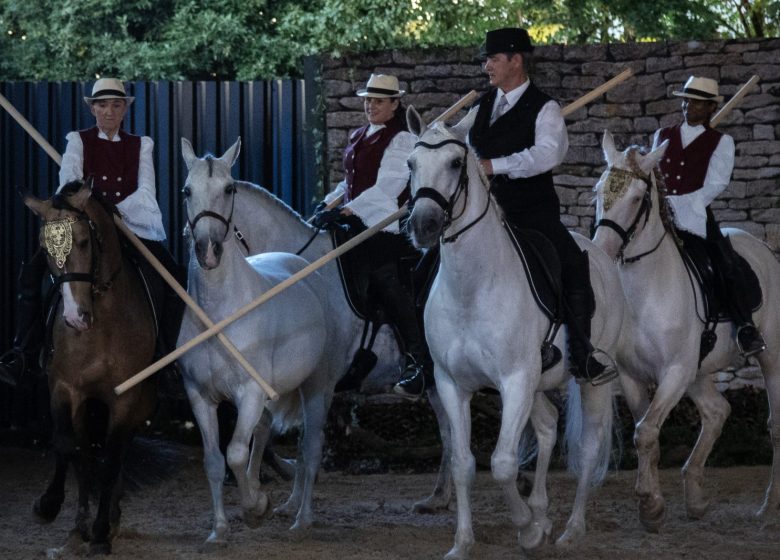 Les Écuries d&rsquo;Artpaillange