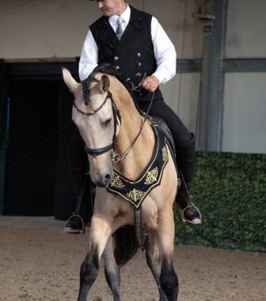 Les Écuries d&rsquo;Artpaillange