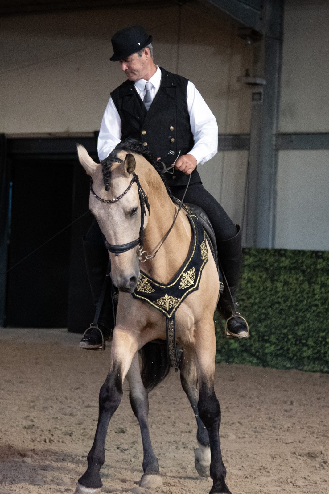 Les Écuries d&rsquo;Artpaillange