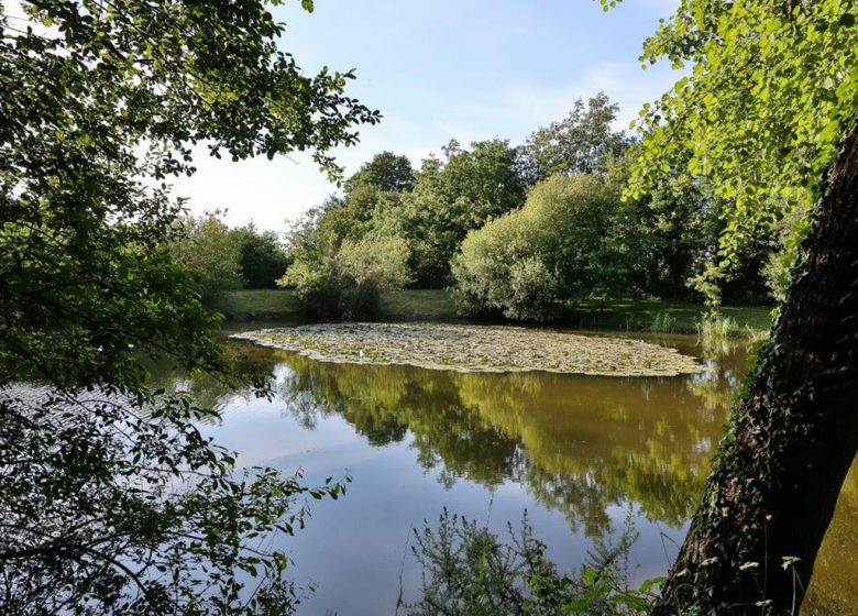 BLOEMENCAMPING HET PAVILJOEN