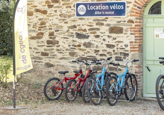 Camping Château La Forêt