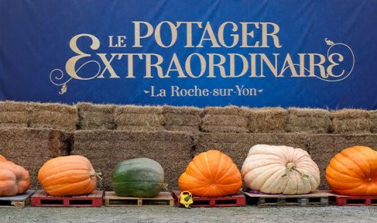 Incroyables Légumes au Potager Extraordinaire