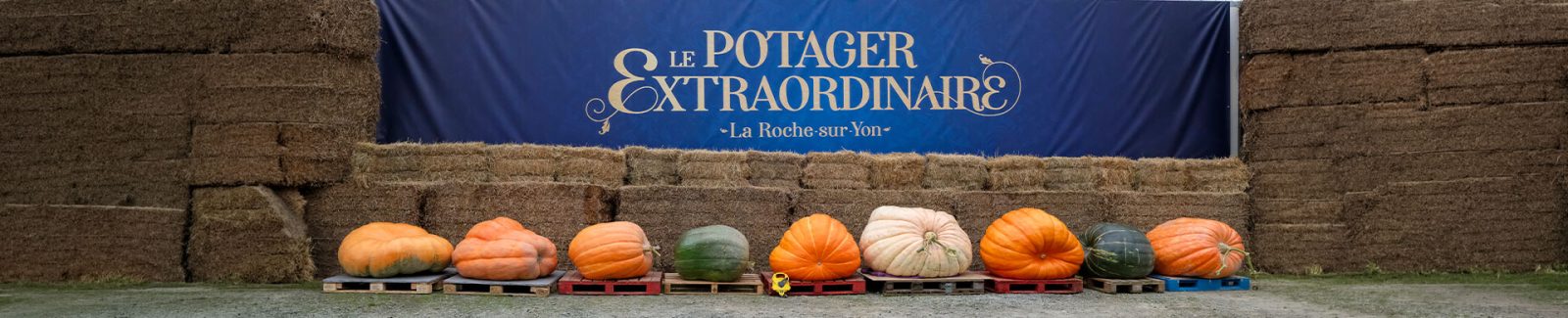 Incroyables Légumes au Potager Extraordinaire