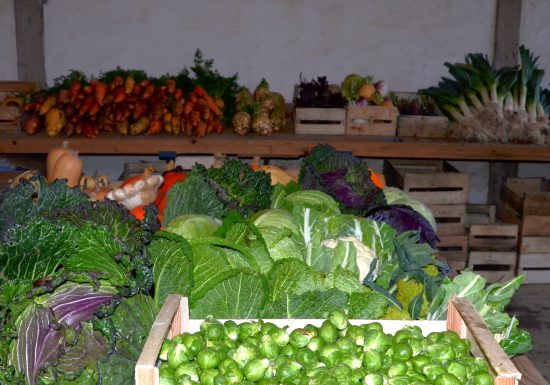 Le Potager du Château