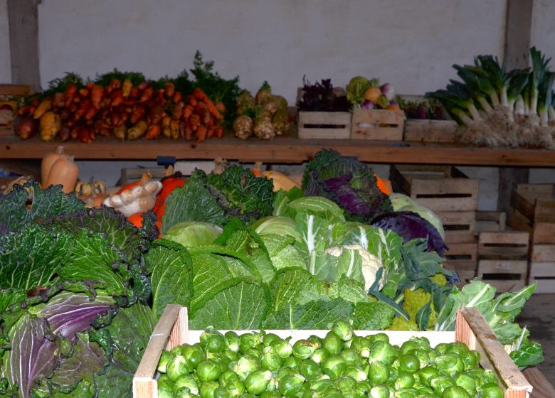 Le Potager du Château