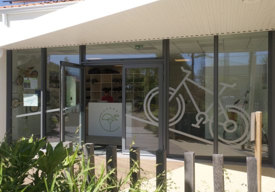 Location de vélos – Camping Le Pin Parasol