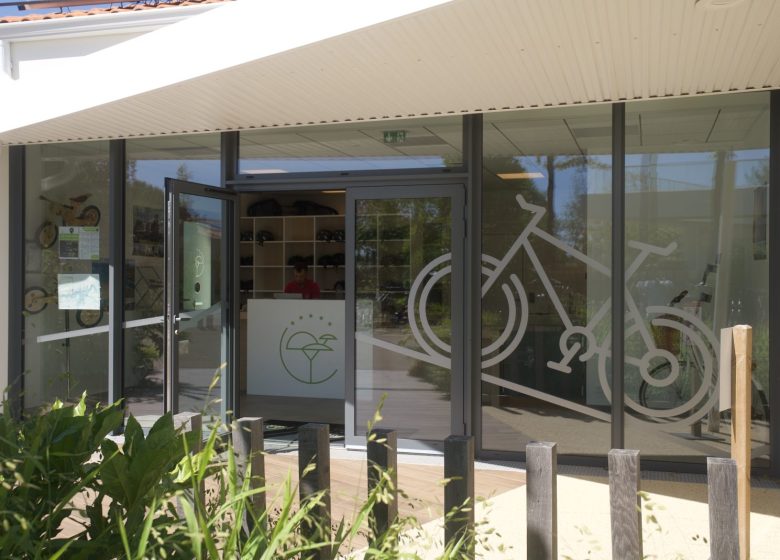 Location de vélos – Camping Le Pin Parasol