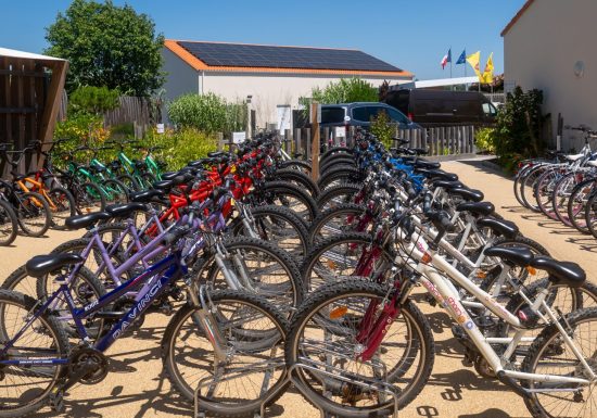 Location de vélos – Camping Le Pin Parasol