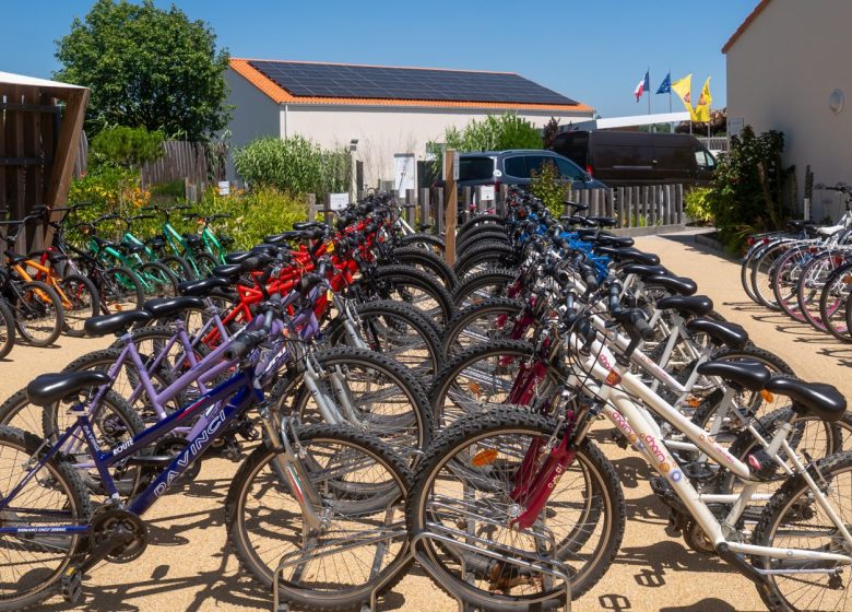Location de vélos – Camping Le Pin Parasol