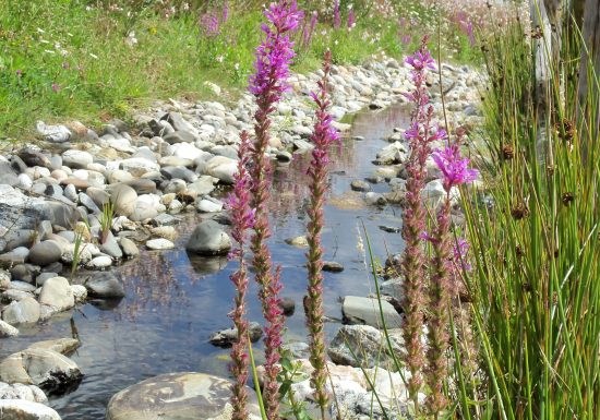 Domaine du Pré – Nature Holiday’s