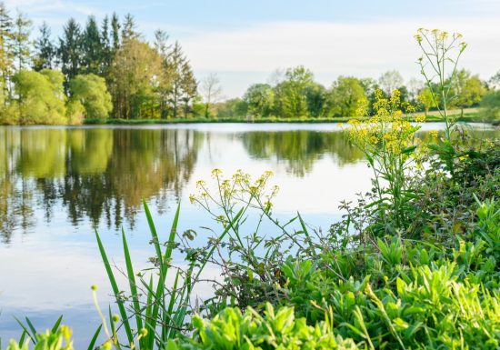 Sentier des Étangs Potier