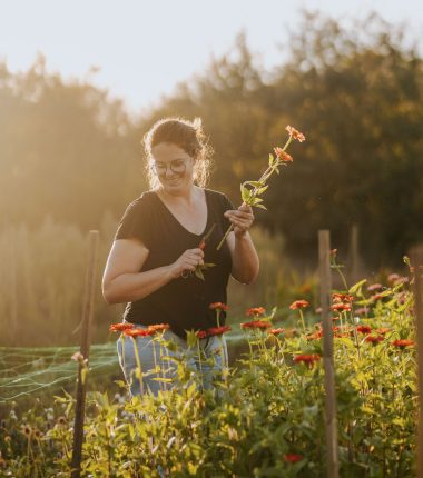 Visites producteurs – Ferme florale Les Singulières