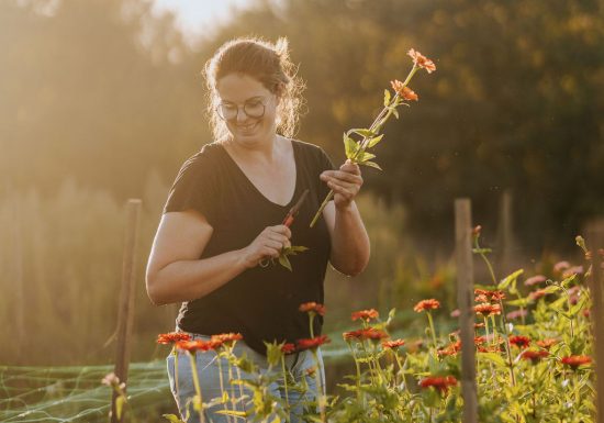 Visites producteurs – Ferme florale Les Singulières